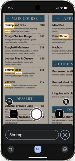 Google Pixel Magnifier screenshot